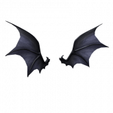 Image of Gigantic Bat Wings