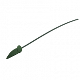 Image of Blade of Grass