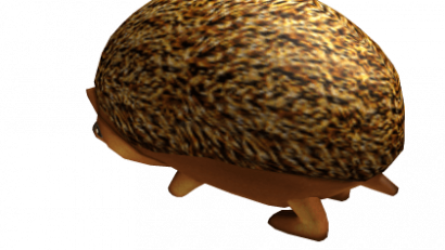 Hedgehog Friend