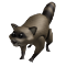 Image of Attack Raccoon