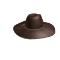 Big Brimmed Brown Hat
