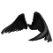 Image of Black Wings
