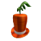 Carrot Top Hat
