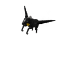 Image of Dark Pegasus