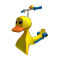 Image of Epic Duck Roped
