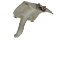 Image of Flying Squirrel Friend
