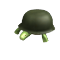 General Turtle