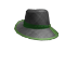 Green Trimmed Hat