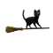 Magic Broom Black Cat