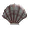 Seashell Snare