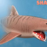 Image of SharkBite