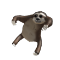 Image of Shoulder Sloth