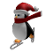 Skating Penguin