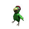 Image of True Pirate Parrot