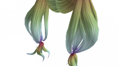 Elegant Rainbow Pigtails