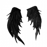 Image of Black Feather Void Wings