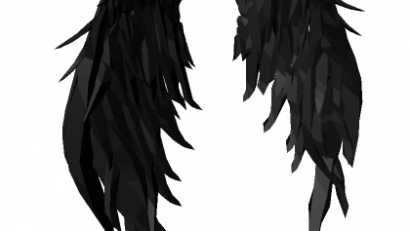 Black Feather Void Wings