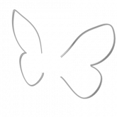 Image of Doodle Butterfly Wings (White)