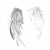 Image of Feather Purity Wings