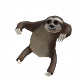 Image of Shoulder Sloth