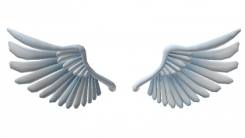 Sparkling Angel Wings
