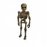 Image of Mr. Skeleton