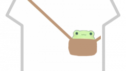{aesthetic} frog in a bag!