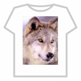 Image of Cute Wolf