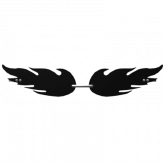 Image of Black Flame Sunglasses