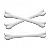 Image of XI Bone Hair Clip
