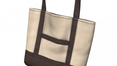 [3.0 version] Canvas Bag
