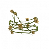 Image of Floral Sash [1.0]