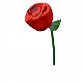 Image of Lapel Rose