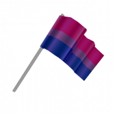 Image of Mini Bi Pride Flag