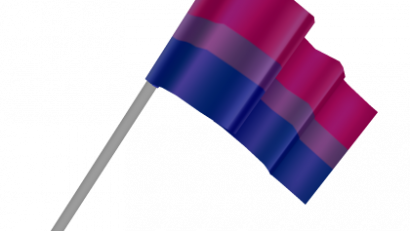 Mini Bi Pride Flag