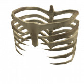 Image of Ribcage Exo Skeleton