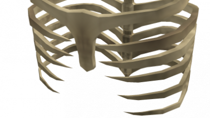 Ribcage Exo Skeleton