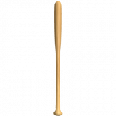 Image of Baseball Bat