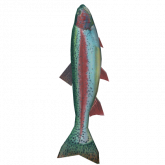 Image of Go Fish