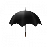 Image of Magical Umbrella