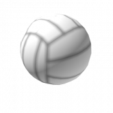Image of Volleyball
