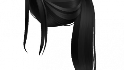 Aesthetic black ponytail