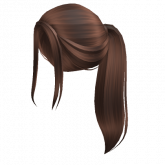 Image of Aesthetic brown ponytail