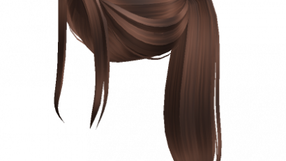 Aesthetic brown ponytail