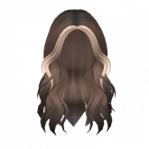 Image of Lush Wavy Hair (Blonde and Brown)