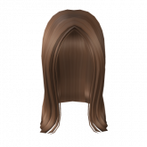 Image of Stylish Long Hair In Brown