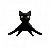 Image of Black Floating Cat