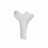 Image of Half Bone