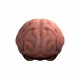 Image of OG Brain Head