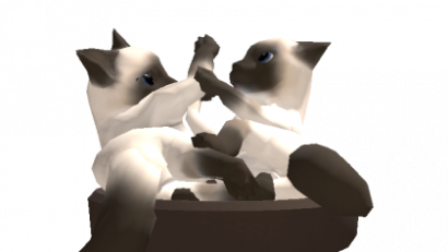Siamese Cats Playing [DYNAMIC]